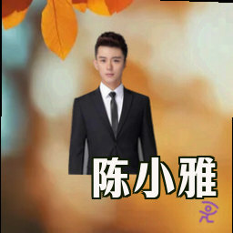 陈小雅